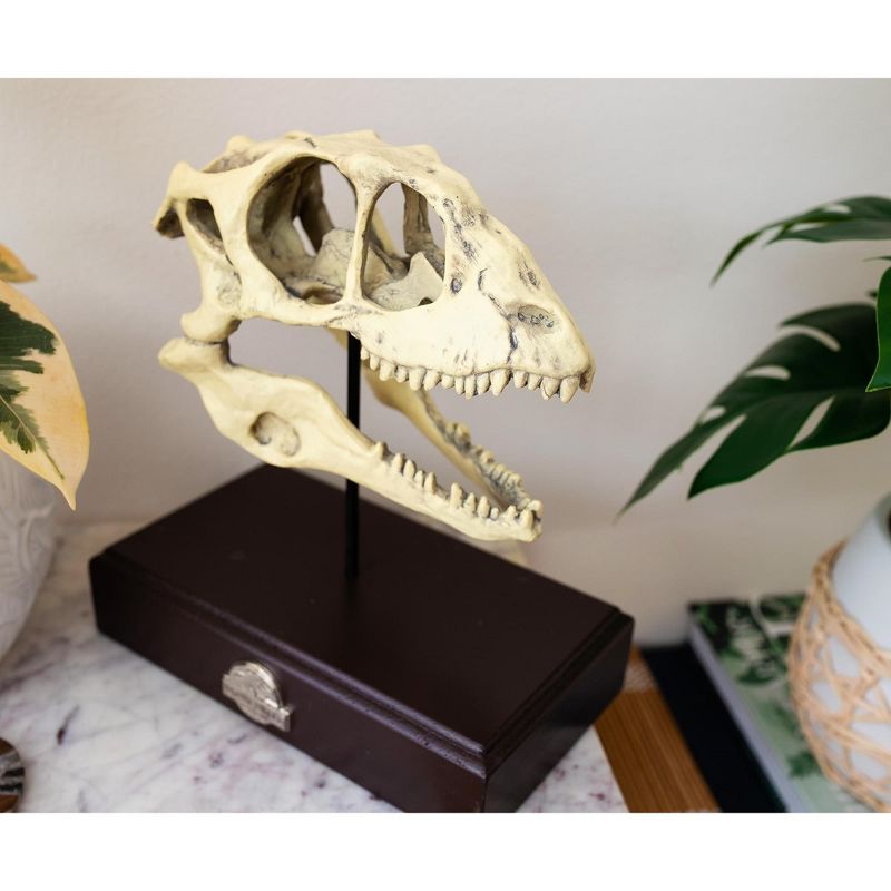 Surreal Entertainment Jurassic World Velociraptor Skull Paperweight Replica | 8 Inches Tall, 6 of 11