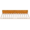 AFI Furnishings Urban Twin XL Size Trundle Bed in Light Toffee - 3 of 4