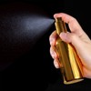 Unique Bargains Refillable Detachable Stainless Steel Cocktail Sprayer 2 Pcs - 4 of 4