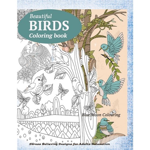 Large Print Easy Color & Frame - Nature (Stress Free Coloring Book) - by  New Seasons & Publications International Ltd (Spiral Bound)