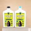 Lola Ondulados Shampoo (16.90 oz) & Co-Wash Conditioner (16.90 oz)- DUO SET KIT - Your Waves, But Better: Defined, Bouncy, and Totally Frizz-Free - 3 of 4