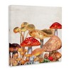 Stupell Industries Rustic Woodland Mushrooms, 30" x 30" - 3 of 4