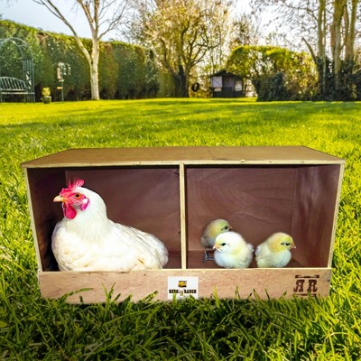 Double Compartment Wooden Chicken Coop Nesting Box