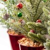 Sullivans 12" Potted Pine Artificial Tree Set of 3, Green - 2 of 4