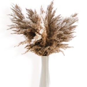 Alilang Decorative Dried Pampas Grass for Elegant Home Decoration and Floral Arrangements, 17 Inches - 1 of 3
