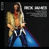 Rick James - Icon (CD) - image 2 of 4