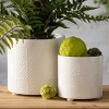 Sullivans 8" & 6" Diamond-Textured Footed Pots Set of 2, Cream - 3 of 4