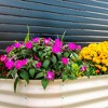 Stratco Double Raised Corrugated Galvanized Steel Metal Outdoor Decor Garden Bed Planter Box with 15 Cubic Feet Capacity, 41 x 28 x 24 Inches, Beige - 3 of 4