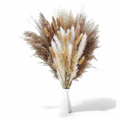 Alilang Decorative Tall Dried Grass Bouquet for Home Decoration and Event Centerpieces, 17.5 Inches - Beige