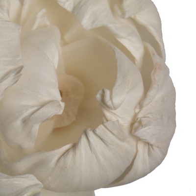 Natural White Dried Sola Peony Flower Heads, Set of 24