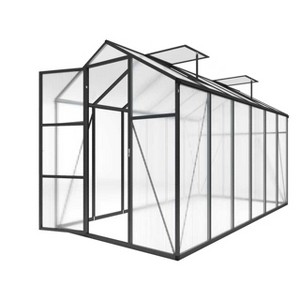 Gulches 6x12 FT Raised Base Polycarbonate Greenhouse Heavy Duty Aluminum Walk in Windproof All Season with Anchor Drainage Outdoor Backyard Black - 1 of 4