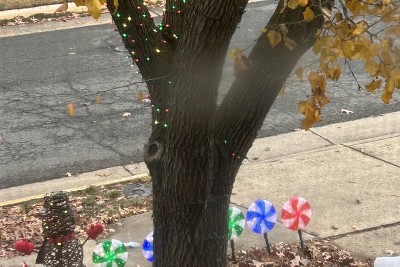 Guest review image 1 of 1, zoom in