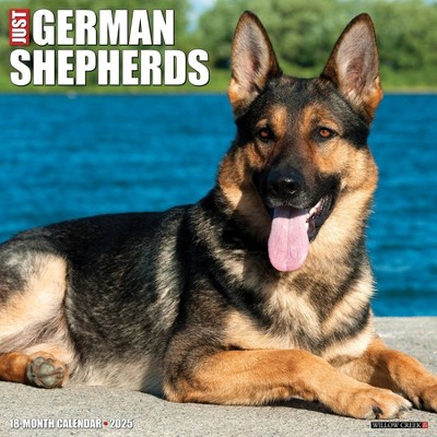 Willow Creek Press German Shepherds 2025 Wall Calendar: Monthly Planner, 12x12 Inches, All Ages, Blue, Sewn Binding