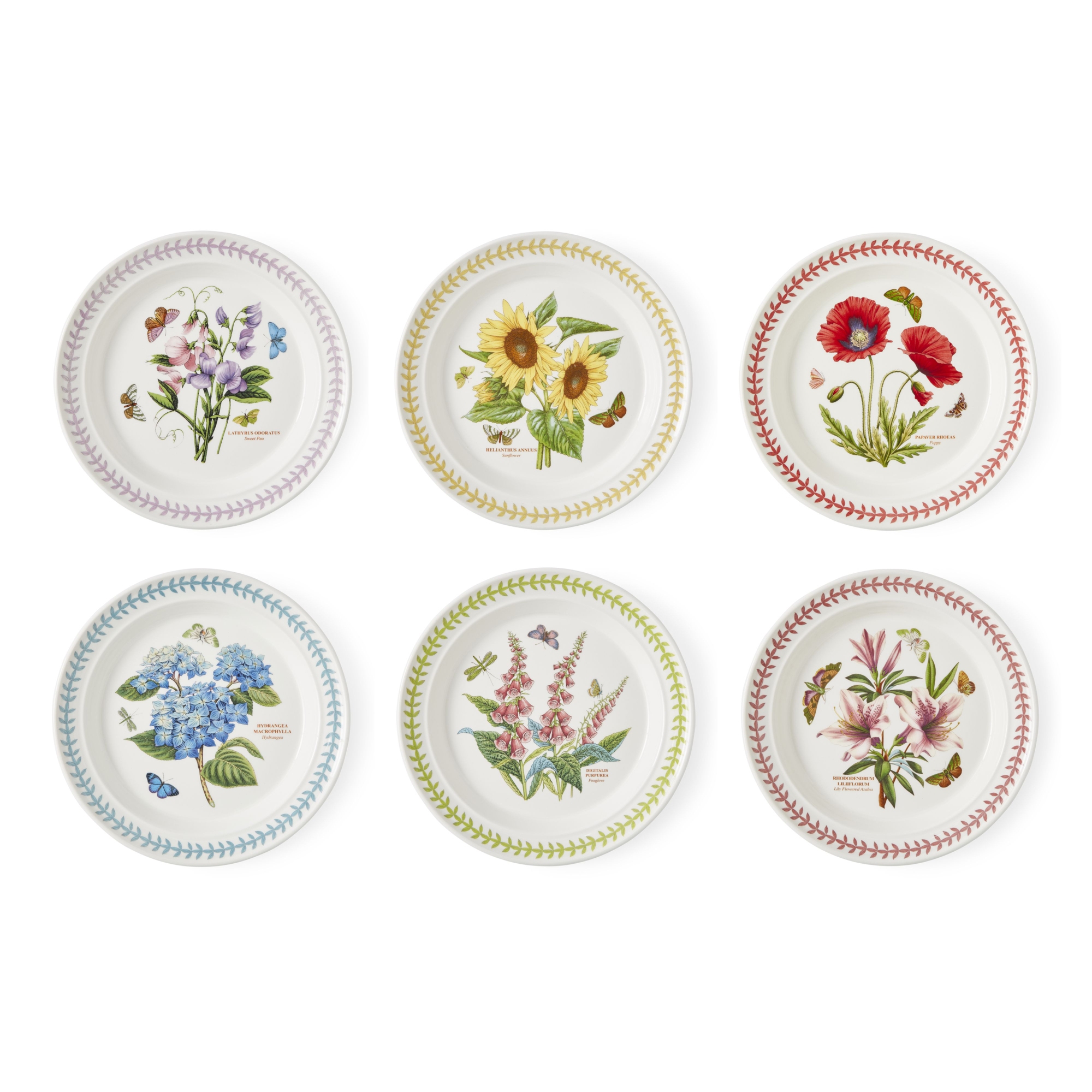 Portmerion Botanic Garden Meadow - 10.5" Round Dinner Plates (Set of 6), Assorted Florals with Colorful Laurel Leaf Border, Earthenware