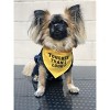 Parisian Pet 'Tougher Than I Look' Bandana - Comfortable, Stylish Yellow Dog & Cat Bandana, Trendy Design - 2 of 4