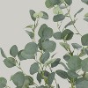 4FT Artificial Eucalyptus Tree with Silver Dollar Leaves, Faux Plant in Woven Pot for Indoor & Outdoor Home, Office Decor - 3 of 4