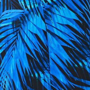 blue electric palm