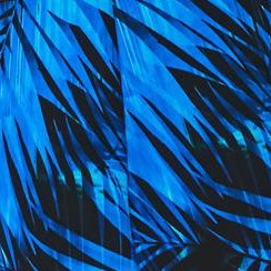blue electric palm