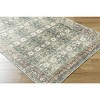 Hauteloom Acoose Living Room, Bedroom Machine Washable Area Rug - Traditional - 4 of 4