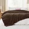 Bedsure | Cute Soft Cozy Checkered Throw Blanket for Couch - 2 of 4