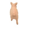 Collectible Wildlife Gifts | Pig, Sow Realistic Small Toy Model Plastic Replica Barn Farm Animal, Kids Educational Gift  2"  F4154 B140 - 4 of 4