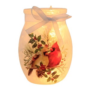 Stony Creek 4.0 Inch Winter Cardinal Couple Pre-Lit Small Jar Christmas Lighted Glass Accent , Christmas Decor Illuminated Vase Cardinals (1PC) - 1 of 4