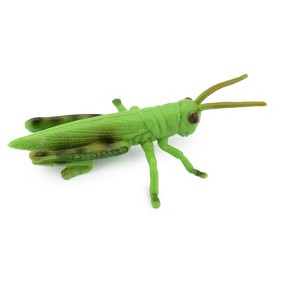 Collectible Wildlife Gifts | Grasshopper, Rubber Insect, Hand Painted, Realistic Toy Figure, Model,   Educational, Gift,      3 1/2"     CH272 BB124 - 1 of 4
