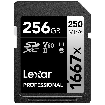 256GB microSD Card