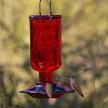 More Birds Red Elixir Vintage Glass Medicine Bottle Hummingbird Feeder - 13 oz - 3 of 4