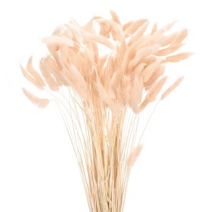 Unique Bargains Decorative Natural Dried Floral Bunny Tail Artificial Plants 120 Pcs - 1 of 4