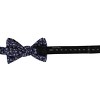 Ascentix Metallic Flowers and Leaves Bowtie - 2 of 3
