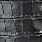 croco