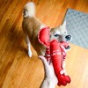 Pavilion Gift Company - Claw-some - 12" Canvas Dog Toy with Rope - Pet Toy - 2 of 4