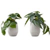 NicBex 2PC Artificial Plants Eucalyptus Grass, Fake Plants in Black Pots, Tabletop Faux Plants Indoor for Living Room, Windowsill Decor - 3 of 4