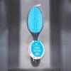 Olivia Garden Detangler Fine to Medium Hair Black/Blue - 721-OGDF04 - Detangle your life, one knot at a time - 2 of 4