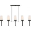 Savoy House Haynes 5 - Light Chandelier in  Matte Black - 2 of 3