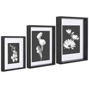 Americanflat Gallery Wall Frame Set of 3 - Picture Frame Set Includes 8x10, 10x12, 11x14 Frames - Black Picture Frames with Shatter-Resistant Glass - 1 of 4