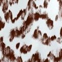 botanical texture chocolate