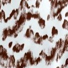 botanical texture chocolate