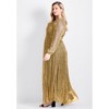 Avenue Women's Plus Size Lucia Plisse Maxi Dress - 4 of 4