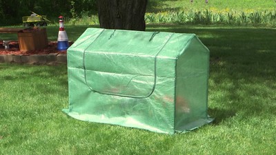 Sunnydaze Green 4' x 2' Iron and PVC Mini Greenhouse