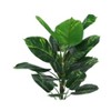 Vynxaria Vynxaria Artificial Plant,Dieffenbachia Tree, Indoor, Faux, Fake, Floor, Greenery, Potted, Real Touch, Decorative, Green Leaves, Black Pot - 2 of 4