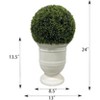 Gulches 24" Artificial Ball Topiary in White Magnesia Pot - Low-Maintenance Faux Plant, UV-Resistant Decor for Indoor Outdoor Home Office Garden - 2 of 4