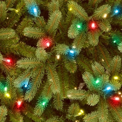 6.5' Green Prelit Jersey Fraser Fir Christmas Tree with Multicolor Lights
