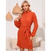 Women Mock Turtleneck Long Lantern Sleeve Self Tie Rib-Knit Dress Casual Loose Winter Pullover Sweater Dresses - 3 of 4