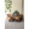 Mulberry Root Wood Home Decor Tray – 6.5" Tall by Kalalou - 2 of 4