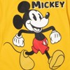 Disney Mickey Mouse Little Boys Fleece Pullover Sweatshirt and Pants Set Grey / Yellow 7 - 4 of 4