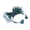 Novelty Lights 50 light G20 Globe LED Christmas Mini Light Set (Green Wire, 25.5 Feet) - 3 of 4