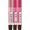 Burt's Bees Kissable Lip balm Gift Set - Warm - 3pc - 3 of 3