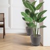 Kozyard Planter Indoor Outdoor Plant Pots with Tray Collecting Water for Tall Plants, Flowers - 2 of 4
